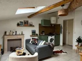 Appartement style chalet proche Cité Carcassonne & lac de la Cavayère