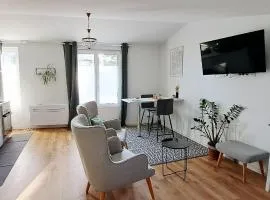 La porte Bleue - appartement juste rénové - très propre - grand confort - lumineux - calme - centre historique