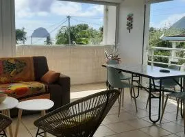 Beau duplex T3 avec une superbe vue mer