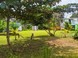 Villa 1200m2 de jardin "100m plage"