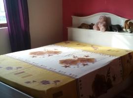 Beautiful 3 bedrooms house close to Airport, hotel em Grand Bois