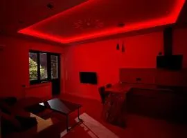 cozy and warm apartment