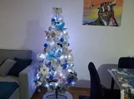 Studio Apartman Taurus