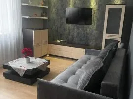 Silver Vytauto Apartments