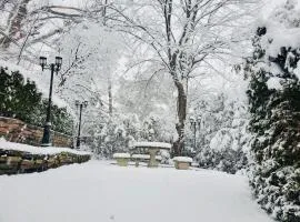 Cottage like home in Toronto