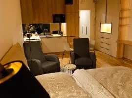 Metropolis apartment, free parking, city center