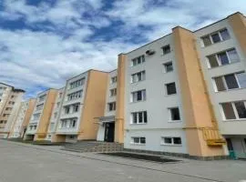 Modern and stylish apartment