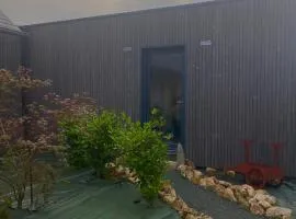 Escale sous le hêtre