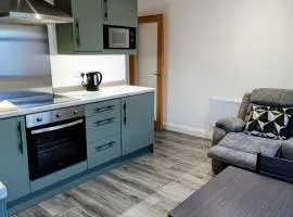 Modern 1 Bedroom Apt 1 near City Centre Parking