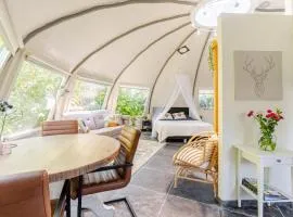 Unique private guesthouse 'The Iglo'