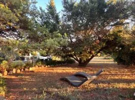 Magnifique chalet cosy