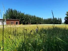 Cabaña 4 Acogedora en un entorno natural