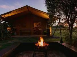 Raglan Rural Retreats - Rimu Tent