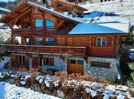 Chalet face au Mont-blanc