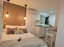 Estudio Sierra Nevada