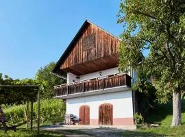 Weinberg Lodge - Kellerstöckl
