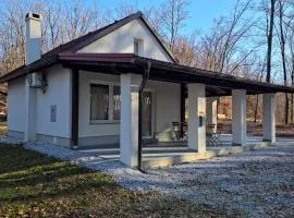 Kuća za odmor Mirai