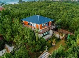 Hilltop Velley Lâm Đồng