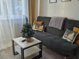 Apartament Miejski