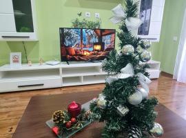 Apartament modern Cristina&Jessica