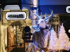 阿塔格尼斯特艺术酒店