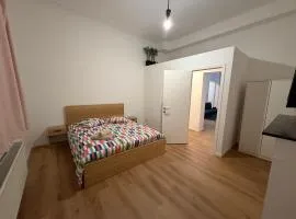 Appartement entièrement rénové 1 chambre et Sofa Bed