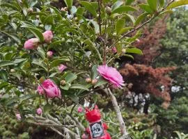 ist villa 03 Seaside Cabin Sleeps 5