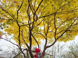 ist villa 06 Private Beachfront Sleeps 16, Hotel in Wada