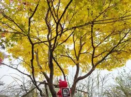 ist villa 06 Private Beachfront Sleeps 16