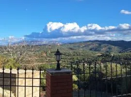 IRENE'S village home