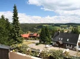 Large Luxurious Apartment with stunning views, indoor pool and sauna