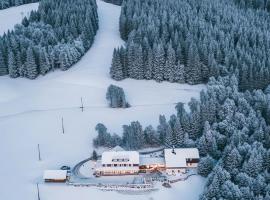 Bílá Labuť Pec，位于派克波特斯耐兹库的酒店