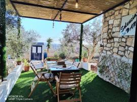 Seleucia DaR Umm Qais