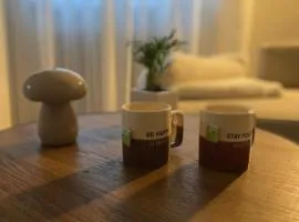 Appartamento completo, ben attrezzato con giardino