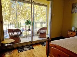 Les Rives d 'Espalion