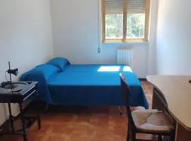 Cozy Apartment in Town