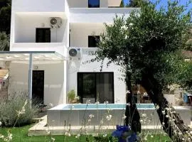Villa with private pool close to the beach