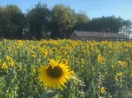 2 Bed in Clipston oc-o34219