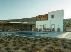 Casa Botanica - Heather