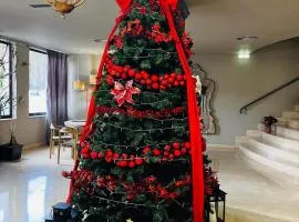 帕尔马利亚内斯酒店