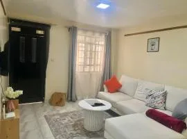 Mlima view- cozy one bedroom apartment with free WiFi and parking