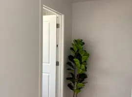 Luxury 1Beds and 2Beds in Downtown Edmonton close to Rogers