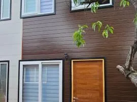 Beautiful little cabin in southern Valdivia