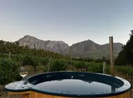 Genadendaal Vineyard Villa