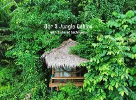 TheJungleGuide - Lodges & Treks