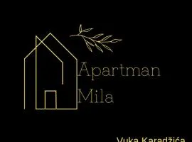 Apartman Mila Prnjavor