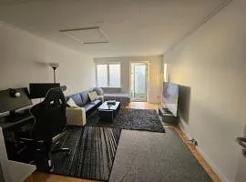 Cozy One Room Apartment