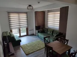 Ski Apartmani Elena