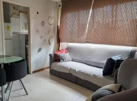 Comfortable Independent Apartment Downtown Ccs