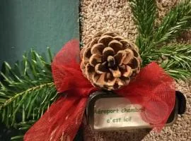 Aéroport chambre ,au calme